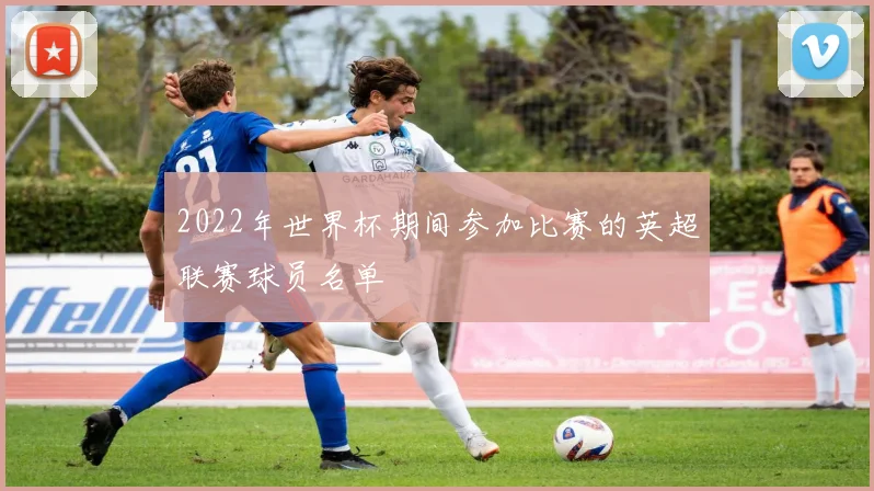 2022年世界杯期间参加比赛的英超联赛球员名单