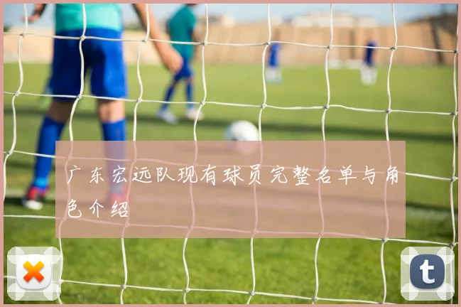 广东宏远队现有球员完整名单与角色介绍